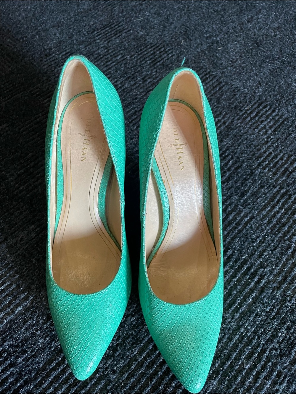 Cole Haan Teal Pointed-Toe Textured Pumps, 7.5